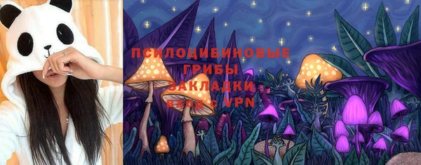 ешки Балахна